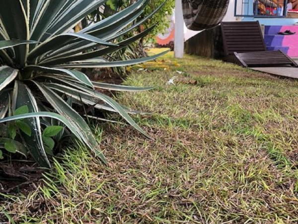 Hostel Das Canárias : photo 8 de la chambre petite chambre simple