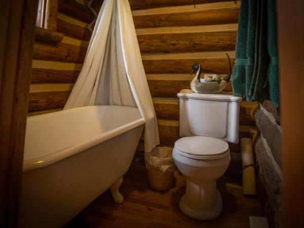 Storm Mountain Lodge & Cabins : photo 8 de la chambre chalet