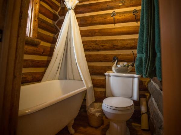 Storm Mountain Lodge & Cabins : photo 2 de la chambre chambre lit queen-size avec balcon