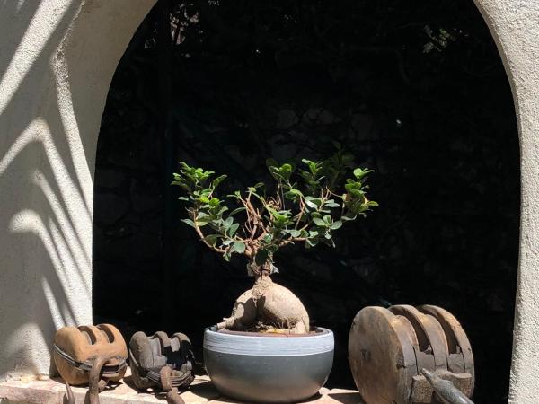 THE ADDRESS CASSIS : photo 4 de la chambre suite junior deluxe