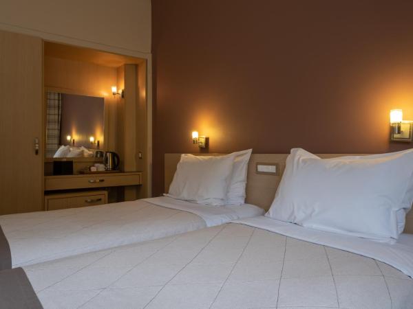 Acropolis View Hotel : photo 2 de la chambre chambre lits jumeaux Économique