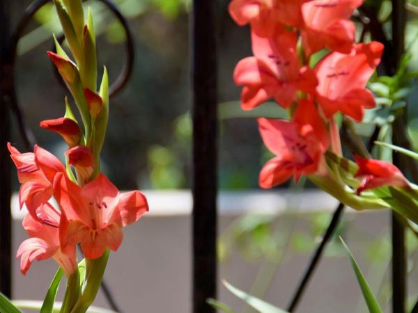 Coco Studio : photo 7 de la chambre grande chambre double