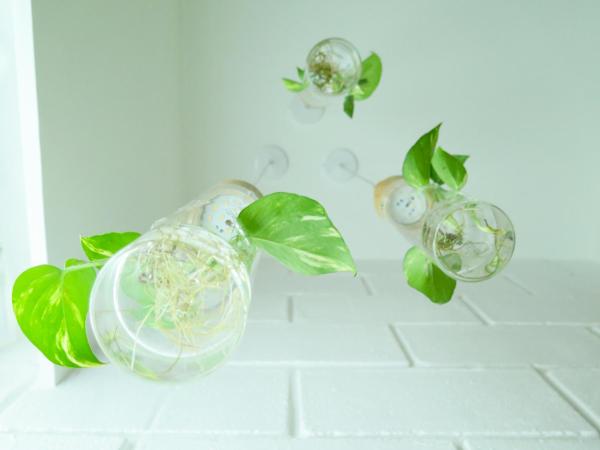 The Atelier Boutique Hotel : photo 9 de la chambre the botanist room