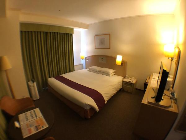 Chateraise Gateaux Kingdom Sapporo Hotel & Spa Resort : photo 3 de la chambre chambre double - non-fumeurs 