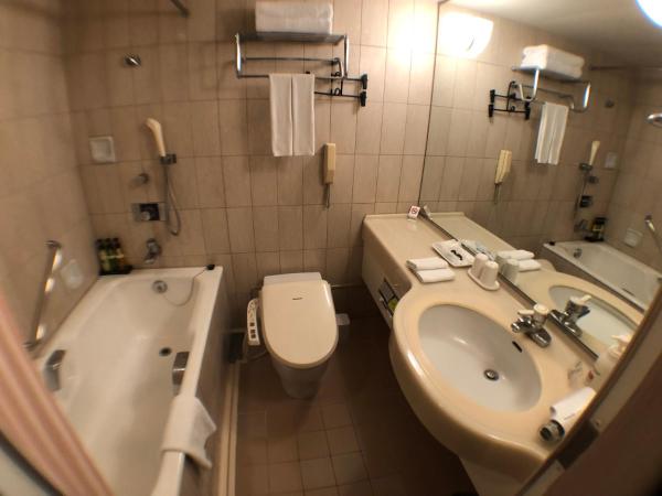 Chateraise Gateaux Kingdom Sapporo Hotel & Spa Resort : photo 9 de la chambre chambre simple - non-fumeurs