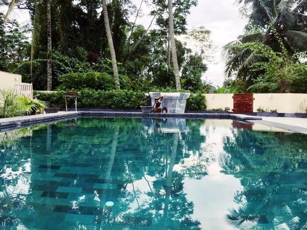 Omah SunFlower : photo 1 de la chambre suite - vue sur piscine 