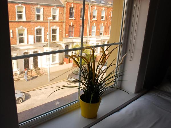 Botanic Rest Queens Quarter : photo 4 de la chambre chambre simple avec salle de bains commune