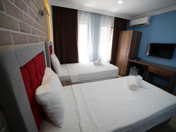 Taksim Park Suites : photo 4 de la chambre chambre double ou lits jumeaux