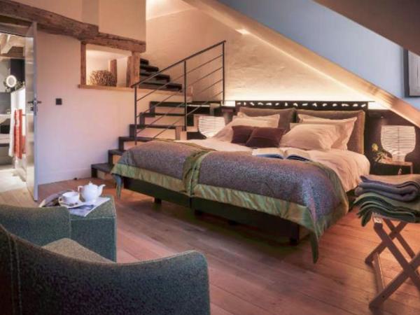 Les Loges Annecy Vieille Ville : photo 1 de la chambre studio avec cheminée et douche spa