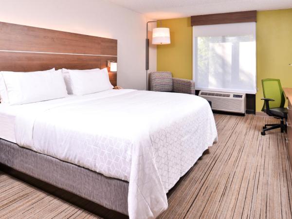 Holiday Inn Express Hotel & Suites Tampa-Anderson Road-Veterans Exp, an IHG Hotel : photo 7 de la chambre chambre standard