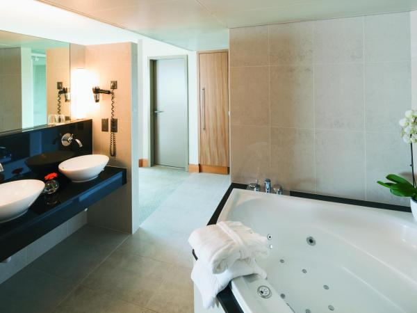 Mövenpick Hotel Lausanne : photo 8 de la chambre suite lit king-size en duplex – vue sur lac