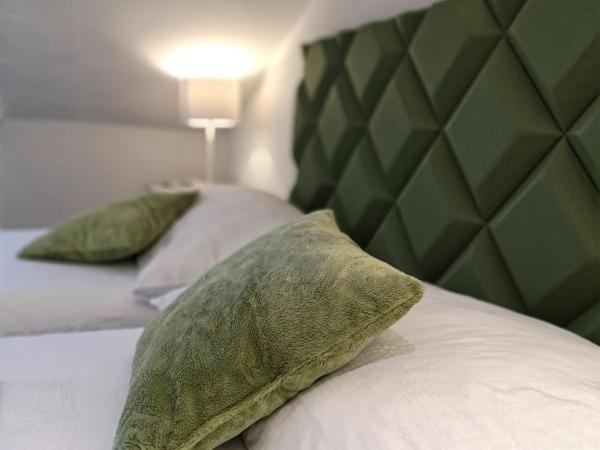 Hôtel du Raisin : photo 4 de la chambre chambre lits jumeaux