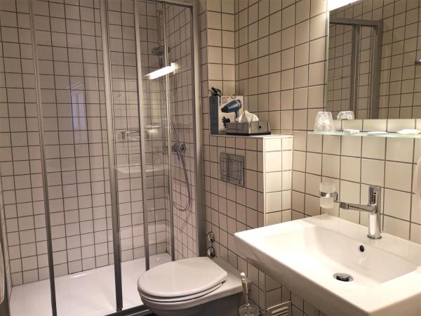 Hôtel du Raisin : photo 3 de la chambre chambre simple