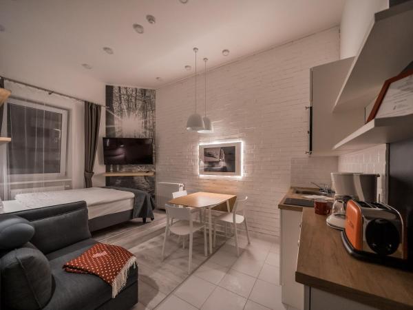 Revelton Studios Karlovy Vary : photo 6 de la chambre studio classique