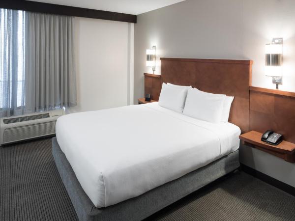 Hyatt Place Jacksonville Airport : photo 3 de la chambre chambre lit king-size avec canapé-lit