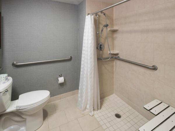 Hyatt Place Jacksonville Airport : photo 10 de la chambre chambre lit king-size avec canapé-lit et douche accessible en fauteuil roulant - accessible aux personnes à mobilité réduite