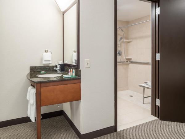 Hyatt Place Jacksonville Airport : photo 9 de la chambre chambre lit king-size avec canapé-lit et douche accessible en fauteuil roulant - accessible aux personnes à mobilité réduite