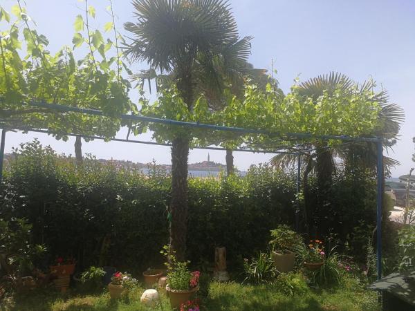 RIVAMARE - Rovinj : photo 2 de la chambre studio - vue sur mer