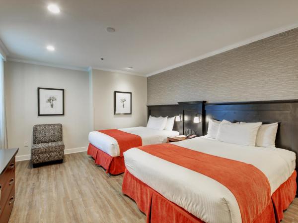 Strathcona Hotel : photo 1 de la chambre chambre avec 2 grands lits queen-size