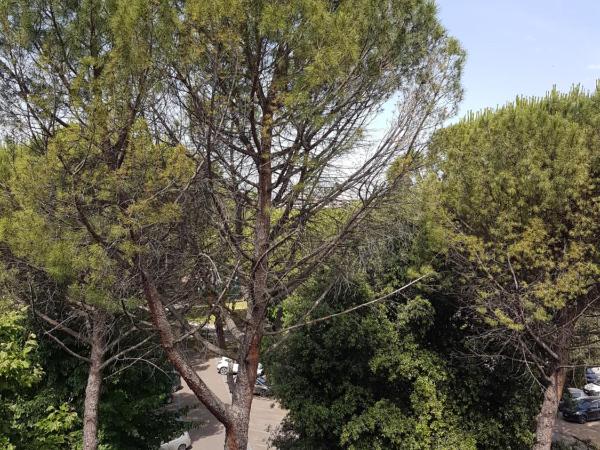 Piccolo Poggio Apartments : photo 5 de la chambre chambre double deluxe