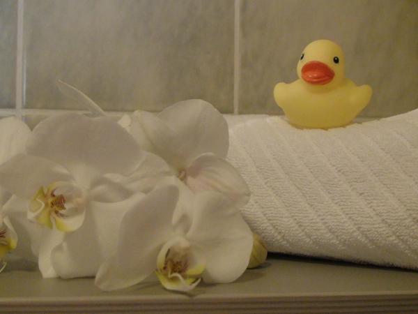 Hotel Cascade Superior : photo 5 de la chambre chambre simple