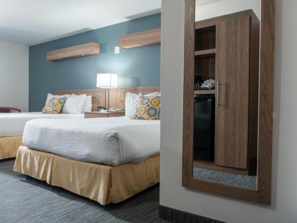 Days by Wyndham Niagara Falls Centre St. By the Falls : photo 1 de la chambre chambre avec 2 lits queen-size