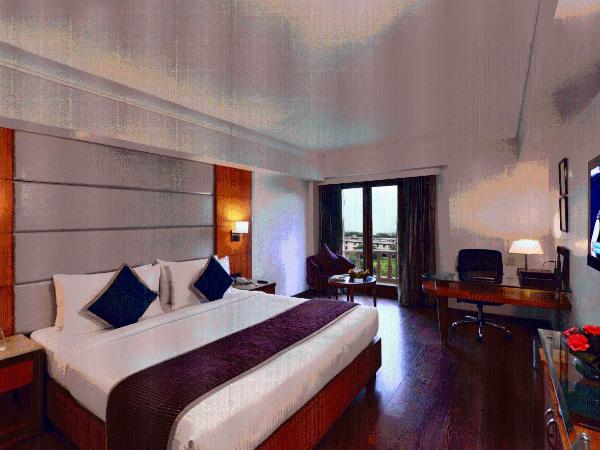 Lords Plaza Jaipur : photo 1 de la chambre chambre pavillon