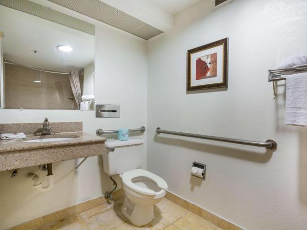 Budgetel Inns & Suites - Atlanta Galleria Stadium : photo 1 de la chambre chambre lit king-size avec douche à l'italienne - accessible aux personnes à mobilité réduite - non-fumeurs