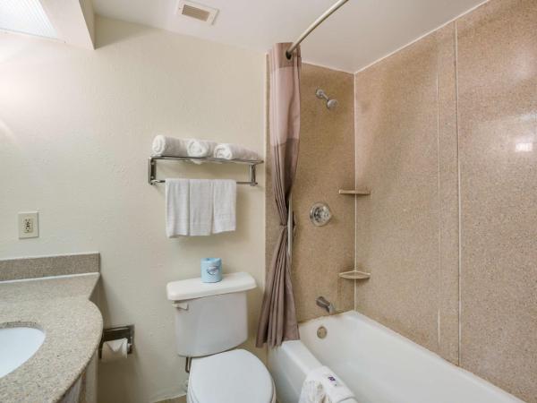 Budgetel Inns & Suites - Atlanta Galleria Stadium : photo 4 de la chambre chambre lit king-size - non-fumeurs