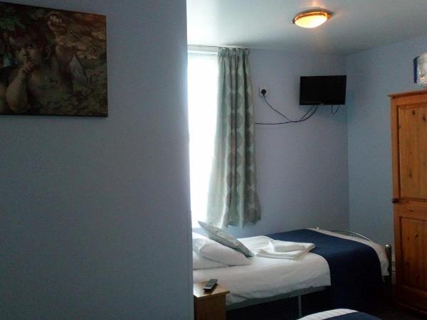 The Wilton International : photo 8 de la chambre chambre triple confort avec douche