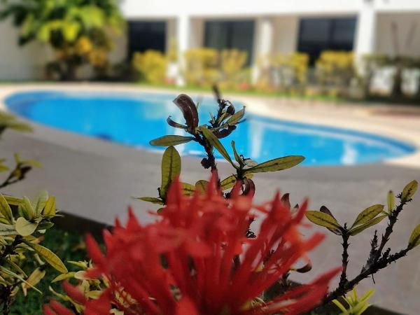 Hotel Holly : photo 9 de la chambre superior king room with fridge