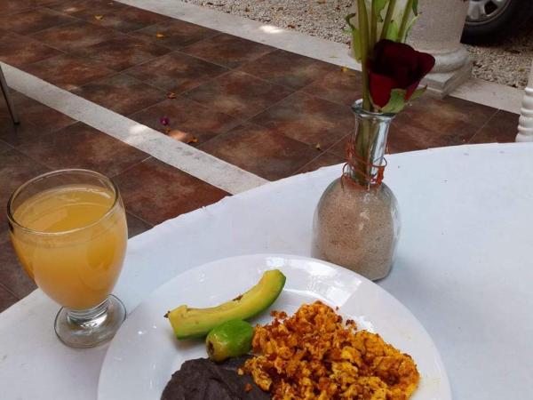 Hotel Holly : photo 10 de la chambre superior with two double beds and fridge