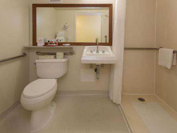 Ramada Plaza by Wyndham Waikiki : photo 3 de la chambre chambre avec 2 lits doubles - accessible aux personnes à mobilité réduite/non-fumeurs