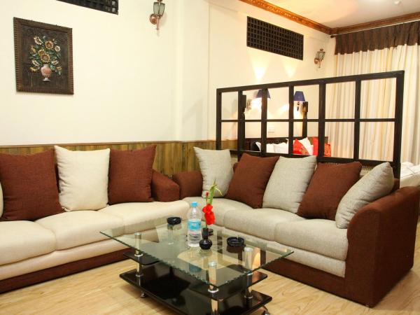 Dream Nepal Hotel and Apartment : photo 1 de la chambre studio avec cuisine et terrasse