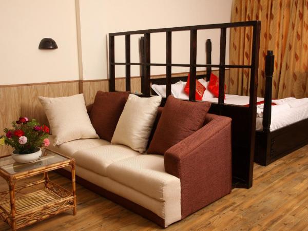 Dream Nepal Hotel and Apartment : photo 3 de la chambre studio avec cuisine et terrasse