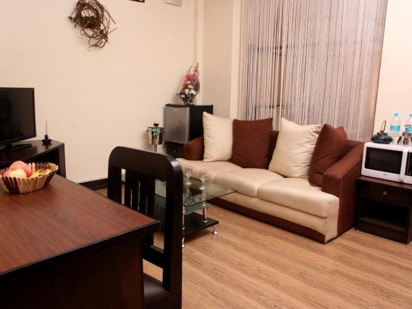 Dream Nepal Hotel and Apartment : photo 6 de la chambre studio avec cuisine et terrasse