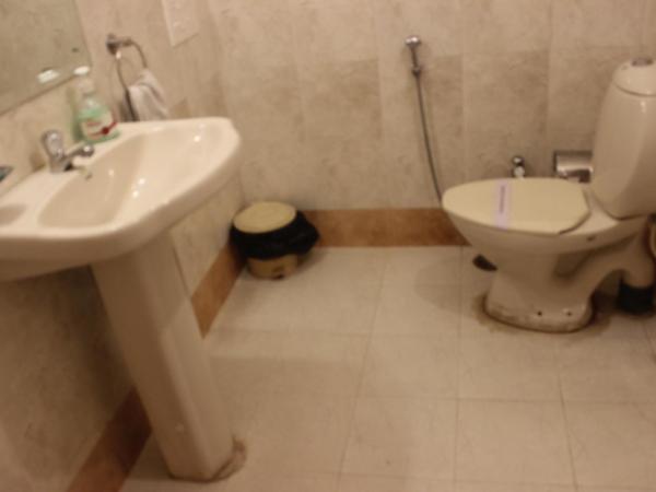 Hotel Safari : photo 6 de la chambre chambre deluxe