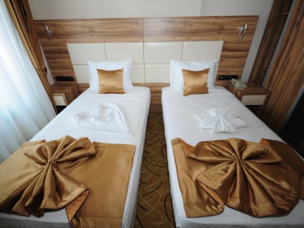 Grand Hekimoğlu HOTELS : photo 1 de la chambre chambre lits jumeaux Économique
