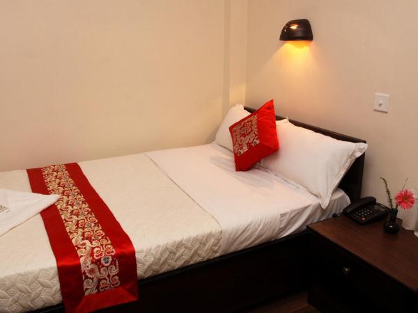 Dream Nepal Hotel and Apartment : photo 9 de la chambre chambre deluxe double ou lits jumeaux