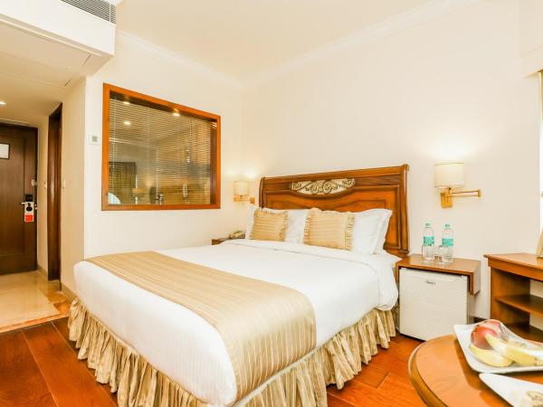 Hotel The Royal Plaza : photo 5 de la chambre deluxe double  room - wifi, 15% discount on food & soft beverages, spa & saloon services.