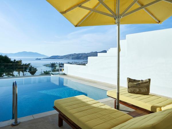 Myconian Korali Relais & Chateaux : photo 6 de la chambre suite junoir era avec piscine privée