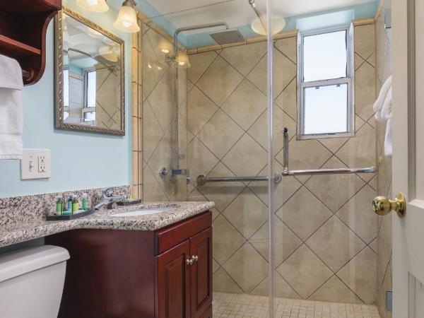 Club Wyndham Avenue Plaza : photo 2 de la chambre studio