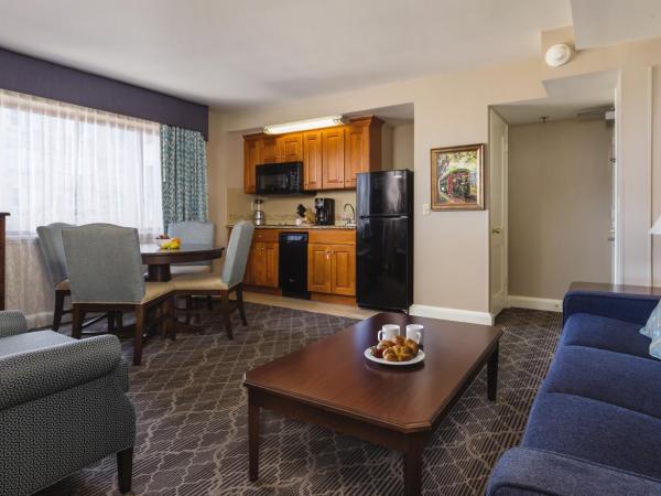 Club Wyndham Avenue Plaza : photo 4 de la chambre suite 1 chambre