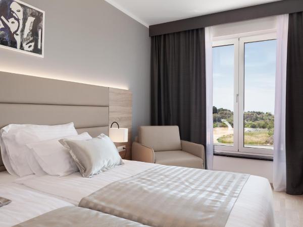 Kaneo beach hotel Novalja : photo 4 de la chambre chambre double standard