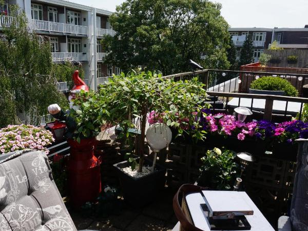 Amsterdam Roof Terrace B&B : photo 7 de la chambre chambre double avec terrasse