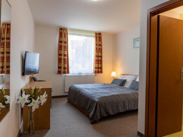 Hotel Kanarek : photo 2 de la chambre chambre double ou lits jumeaux