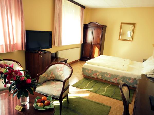 Carinthia Stadthotel : photo 4 de la chambre suite junior