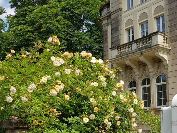 Hotel-Villa Lalee : photo 1 de la chambre chambre double standard