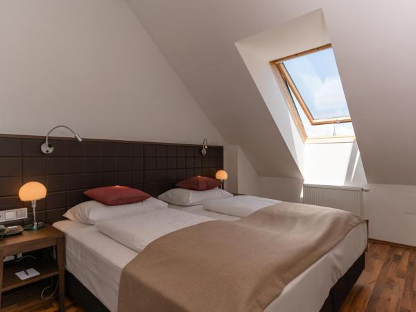 Hotel Sandwirth : photo 8 de la chambre appartement avec terrasse