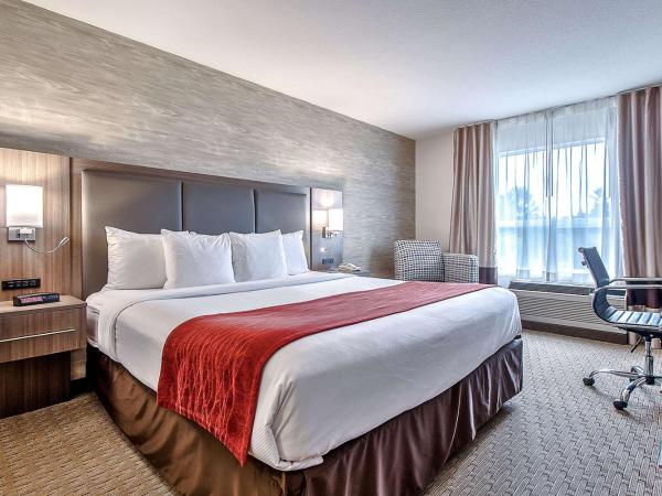Comfort Inn & Suites South : photo 7 de la chambre chambre lit king-size - non-fumeurs